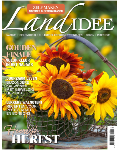 LandIdee